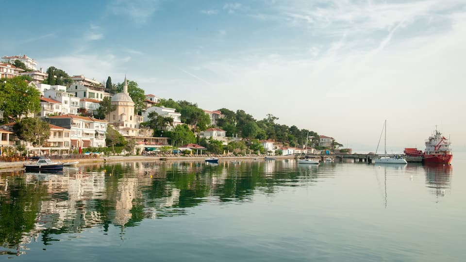 A calm river with boats, a bridge, and a hillside with buildings and a dome-shaped structure.