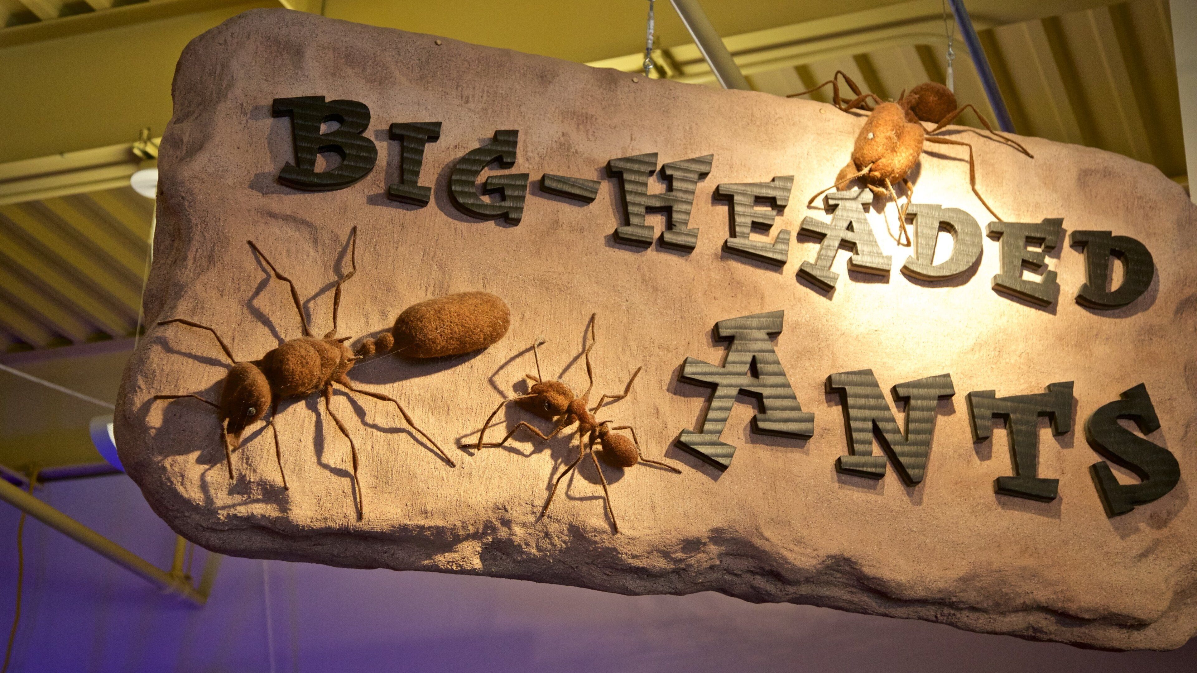 Wonderlab Science Museum featuring signage