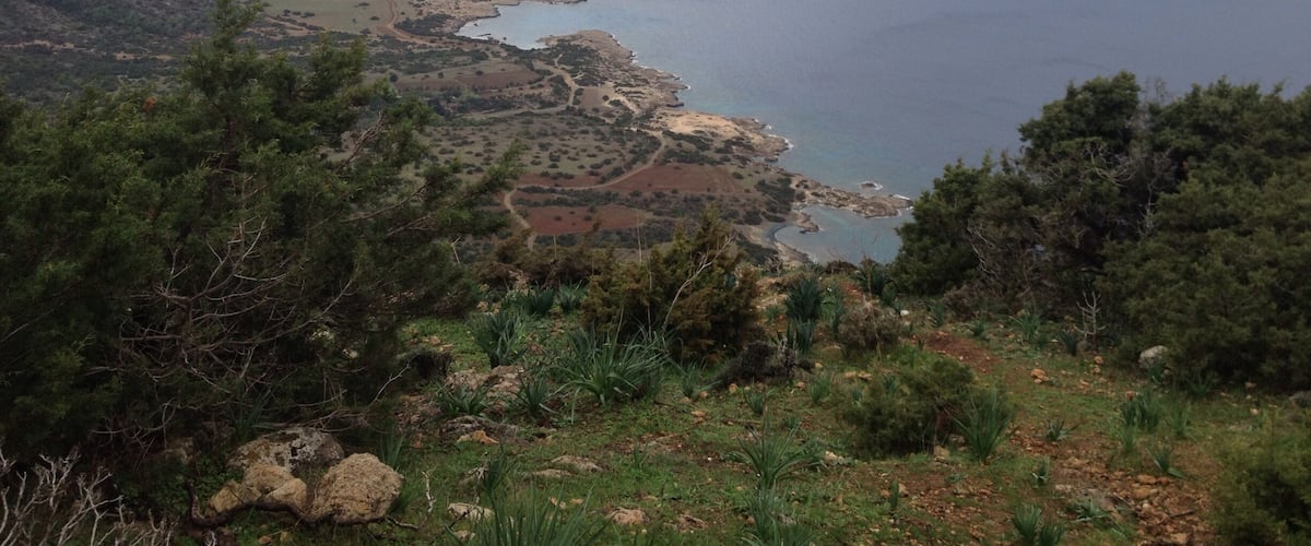 The wild coast of the nature reserve Akamas on the island of Cyprus. Great for Hiking, the highlight would be Avakas Gorge