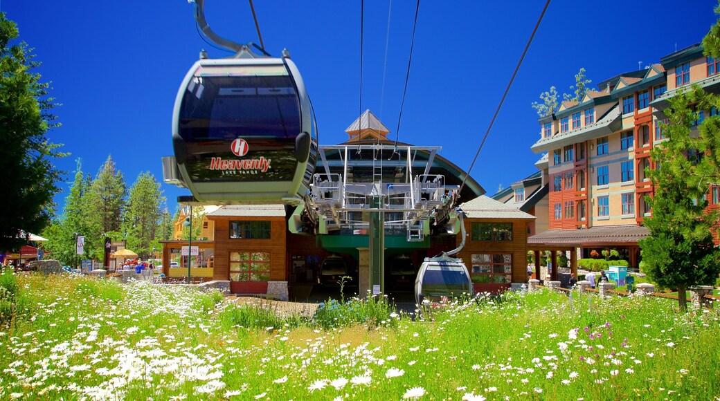 Gondola at Heavenly ofreciendo flores salvajes, un hotel y una góndola