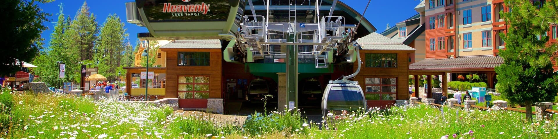 Heavenly Mountain Gondola featuring a gondola, wild flowers and a hotel