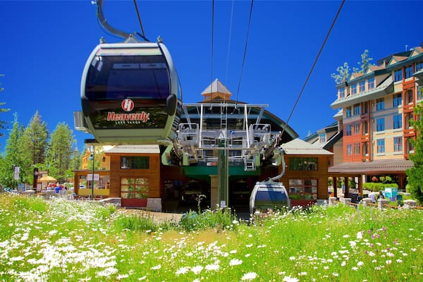 Heavenly Mountain Gondola featuring a gondola, wild flowers and a hotel