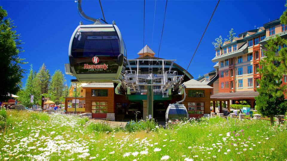 Heavenly Mountain Gondola which includes a hotel, wildflowers and a gondola