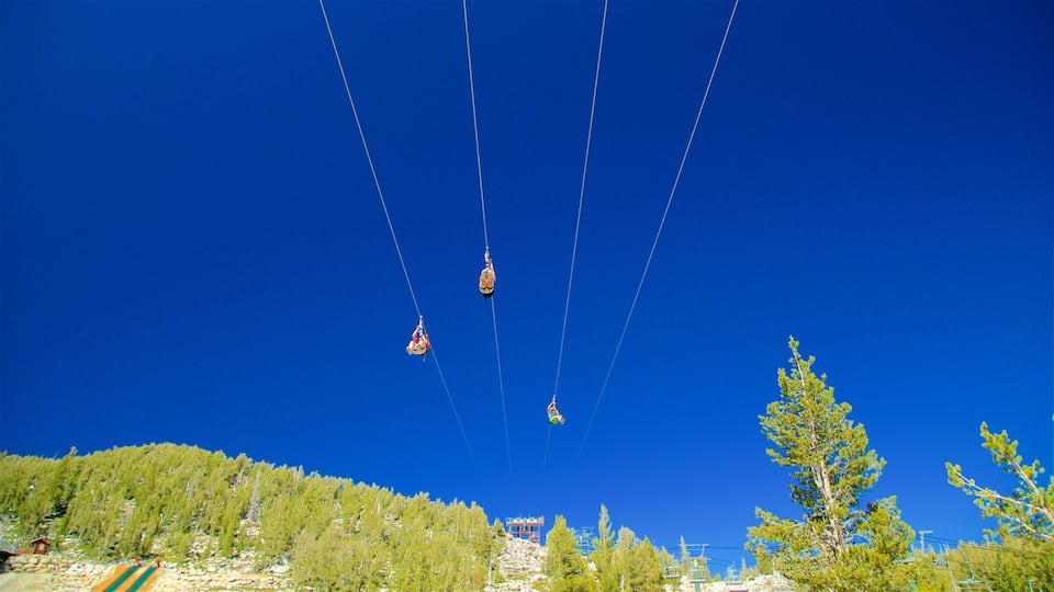 Heavenly Mountain Gondola which includes a gondola