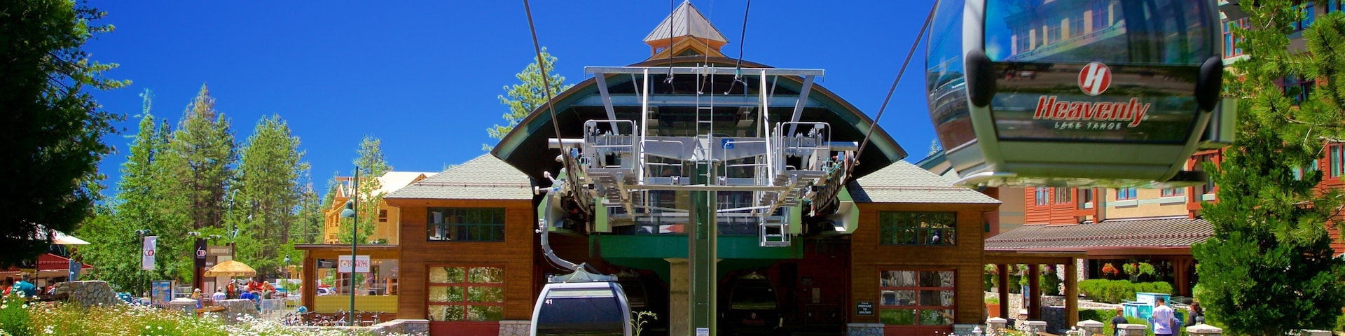 Heavenly Mountain Gondola featuring wild flowers, a gondola and a hotel