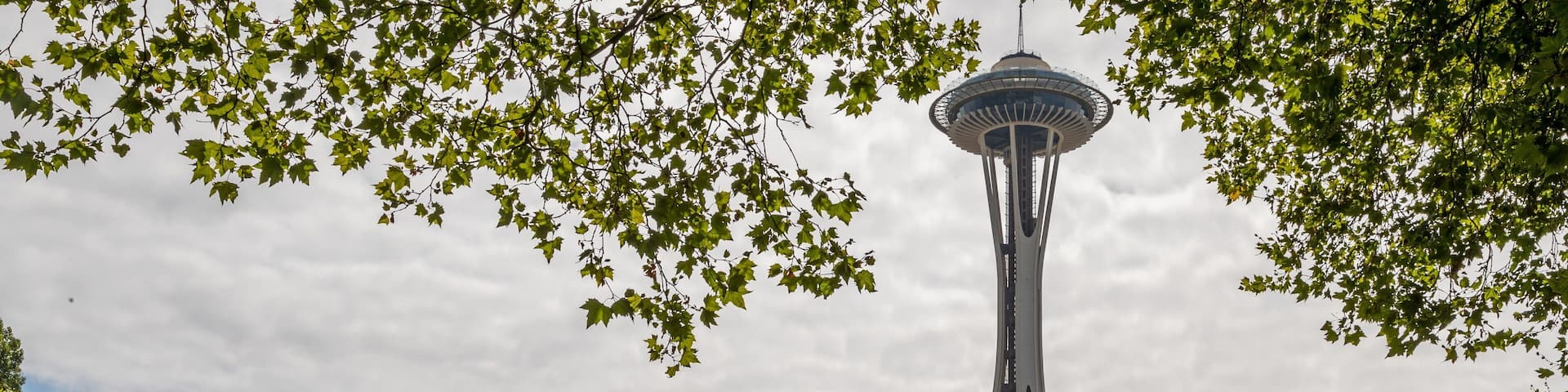 International Fountain featuring a fountain and a park