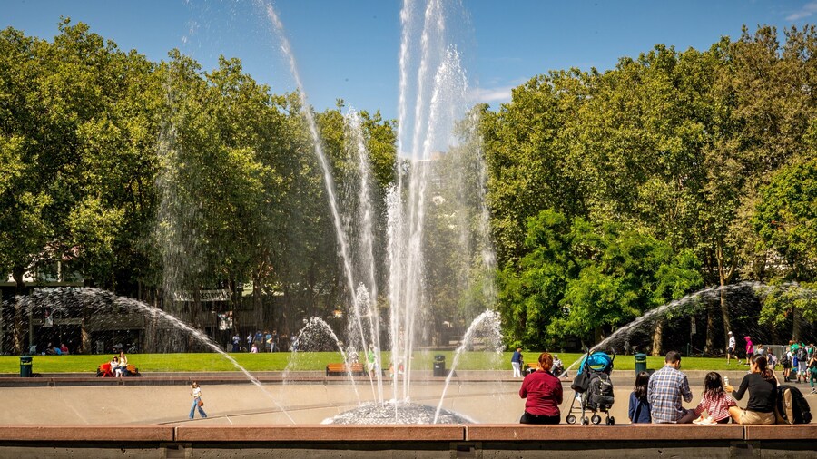 International Fountain showing a garden and a fountain as well as a family