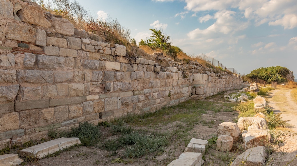 The Ancient City of Parion is located in the Biga district of Çanakkale. Historic City Ruins.