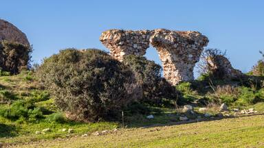 Ruins of the ancient city of Parios in Karabiga.