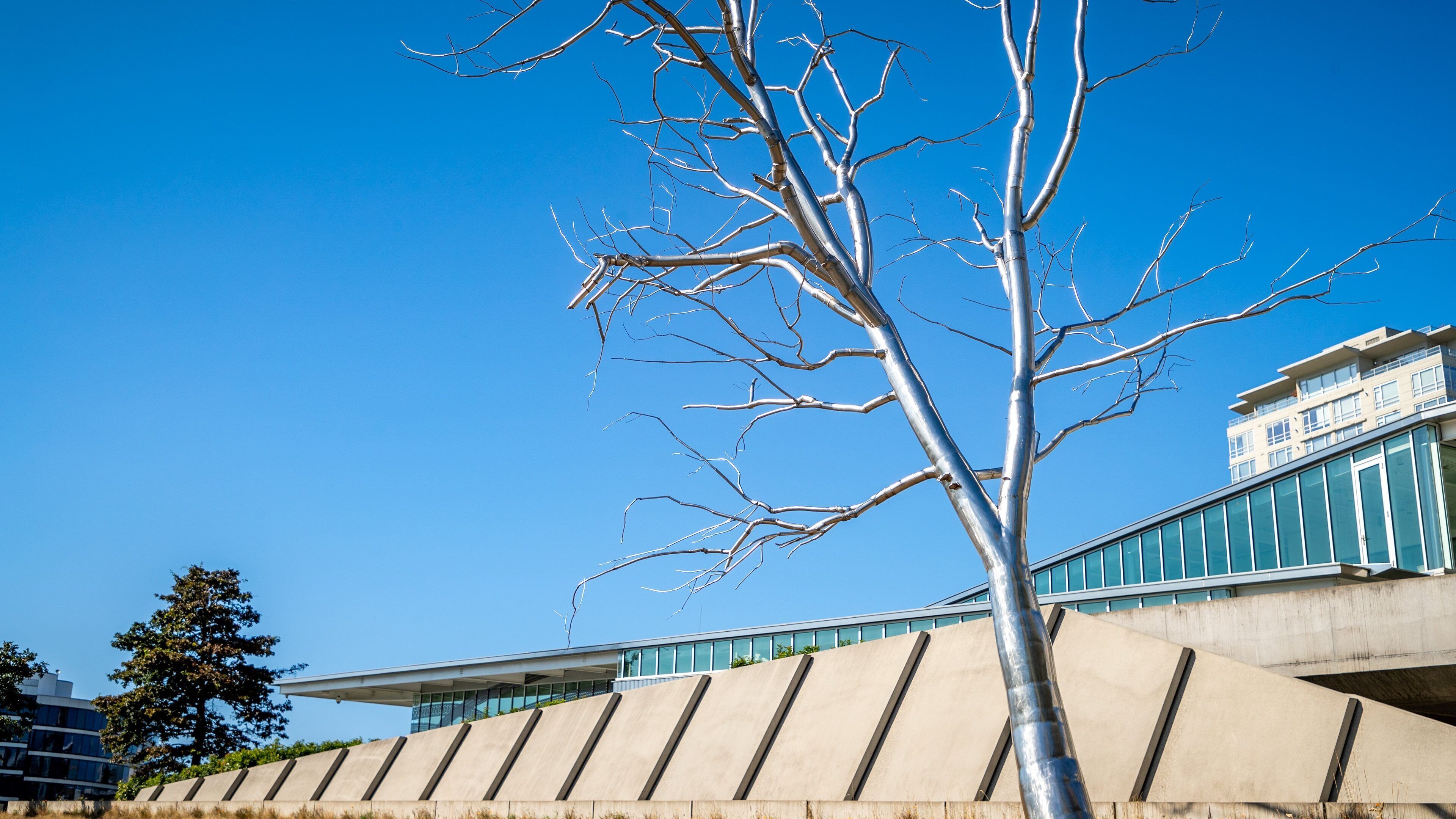 Olympic Sculpture Park featuring outdoor art