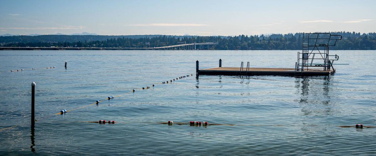 Madison Park Beach showing a lake or waterhole