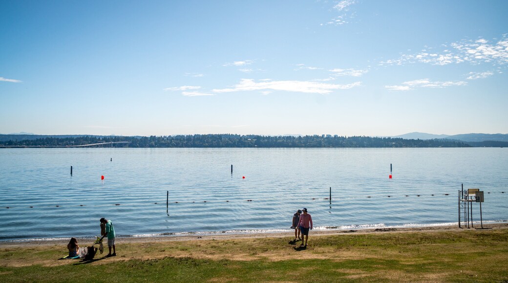 Madison Park Beach featuring a lake or waterhole as well as a small group of people