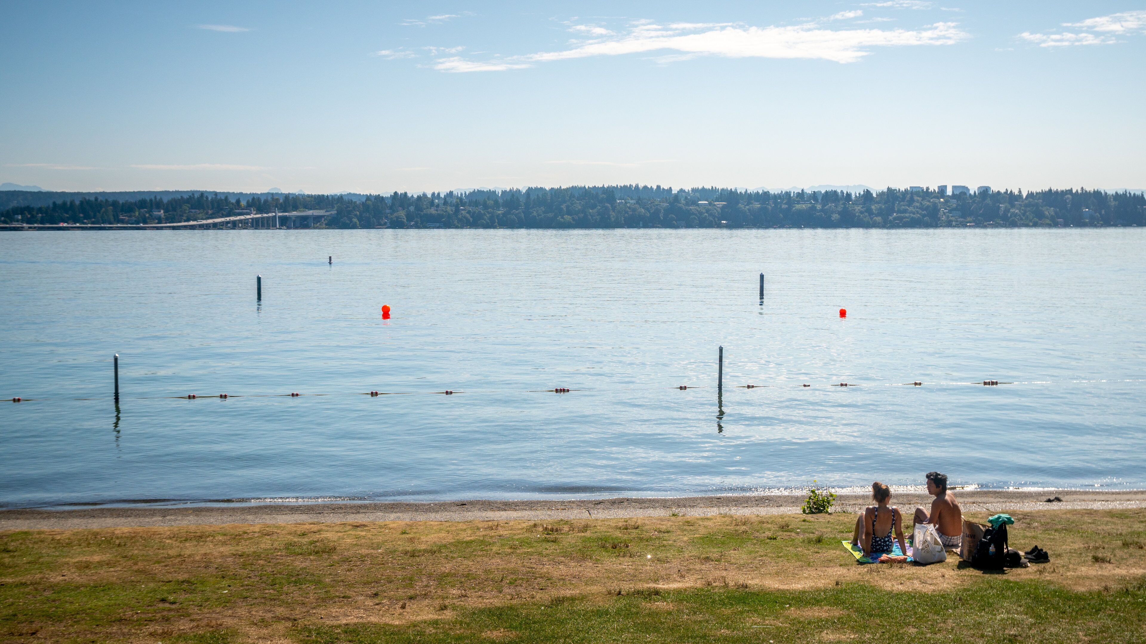 Madison Park Beach showing a lake or waterhole as well as a couple