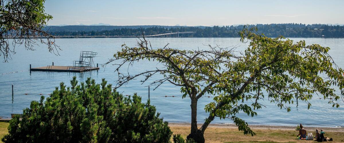 Madison Park Beach which includes a lake or waterhole as well as a small group of people