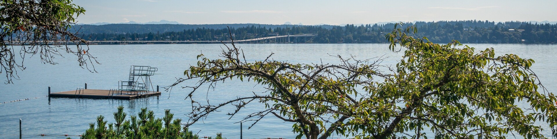 Madison Park Beach which includes a lake or waterhole as well as a small group of people