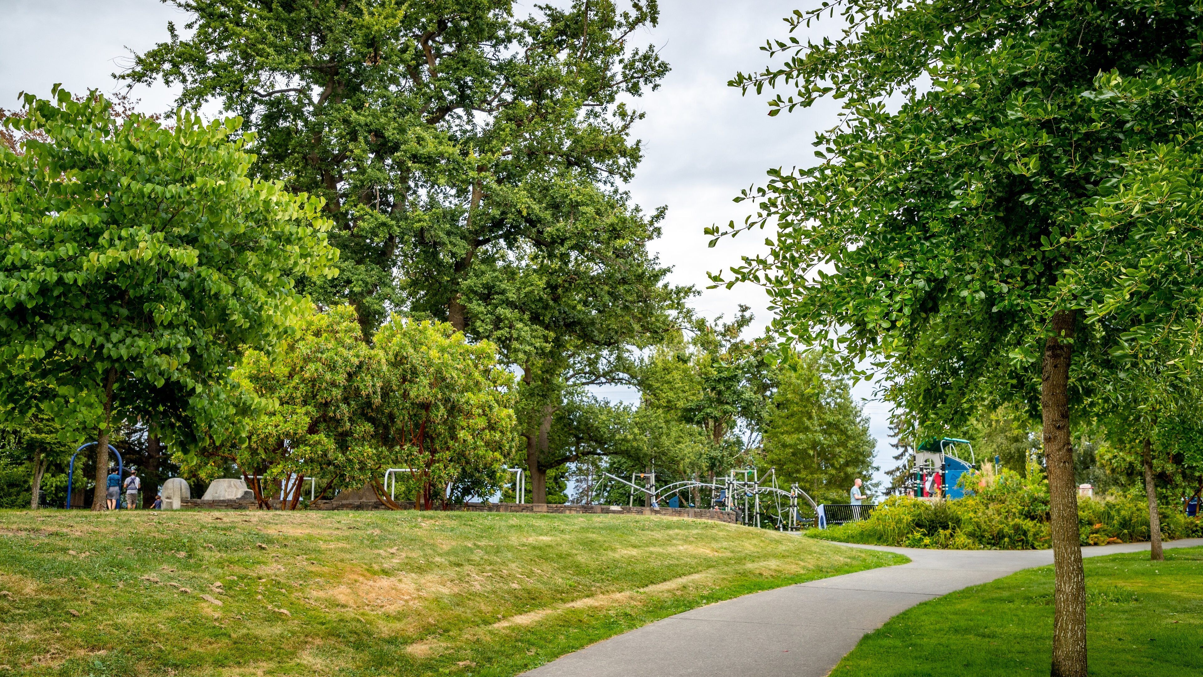 Madison Park Beach showing a park