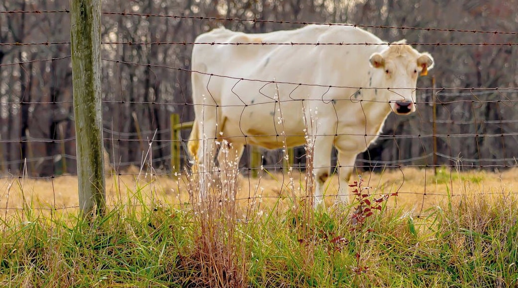 Test Shot with my new Sony A7RIII