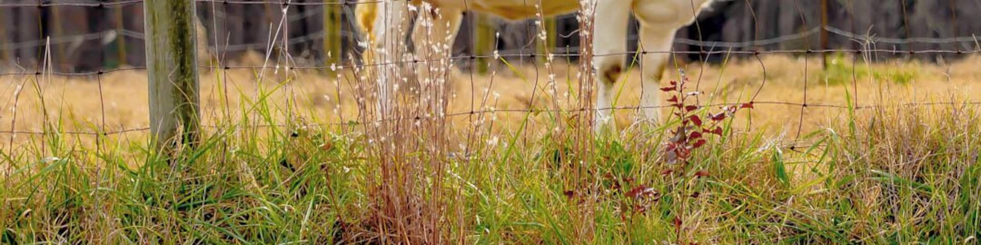 Test Shot with my new Sony A7RIII