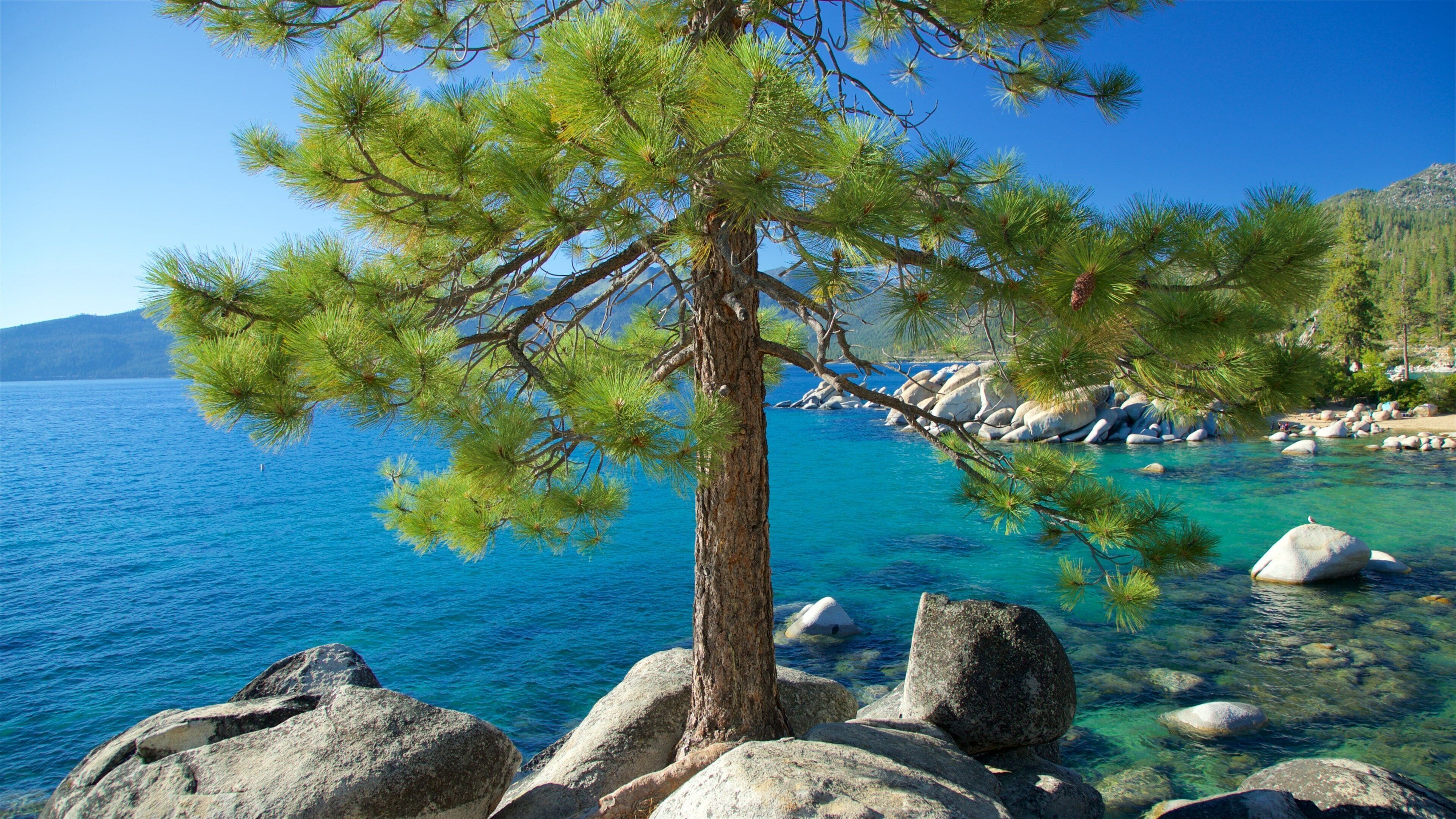 Sand Harbor som viser kyst og klippelandskap