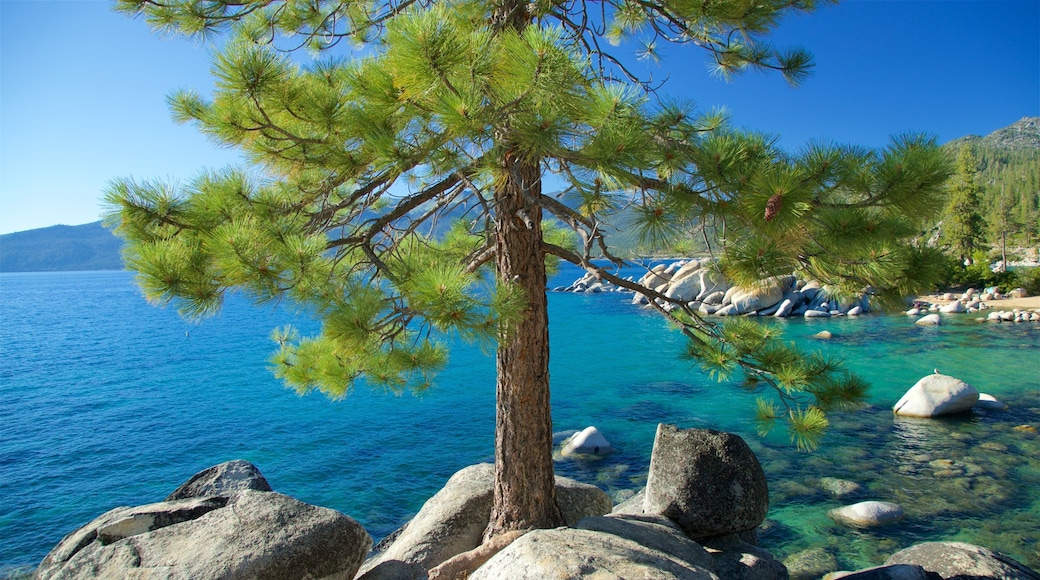 沙港 设有 多岩石的海岸線 和 綜覽海岸風景