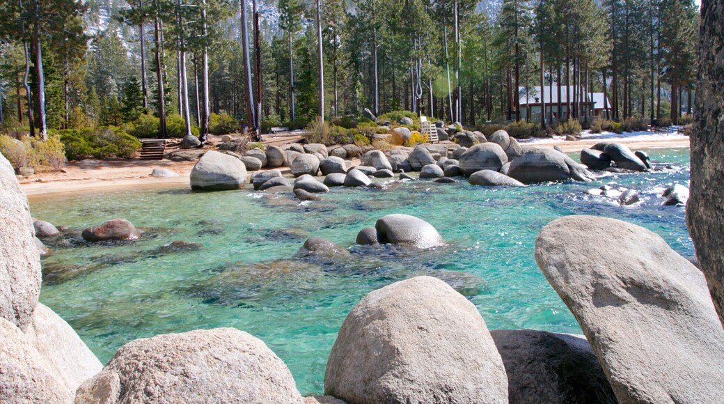 Sand Harbor which includes rocky coastline, forests and landscape views