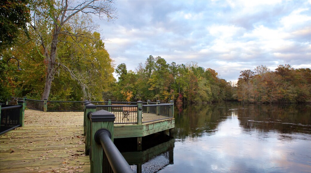 Conway elvesti som inkluderer myr og utsikt