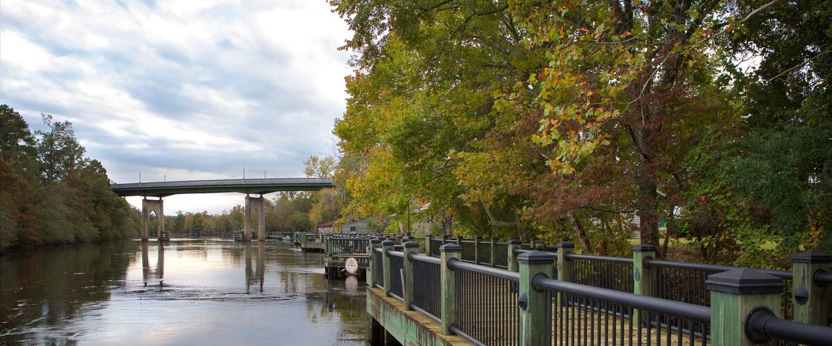 Conway Riverwalk bevat wetlands, een rivier of beek en een brug