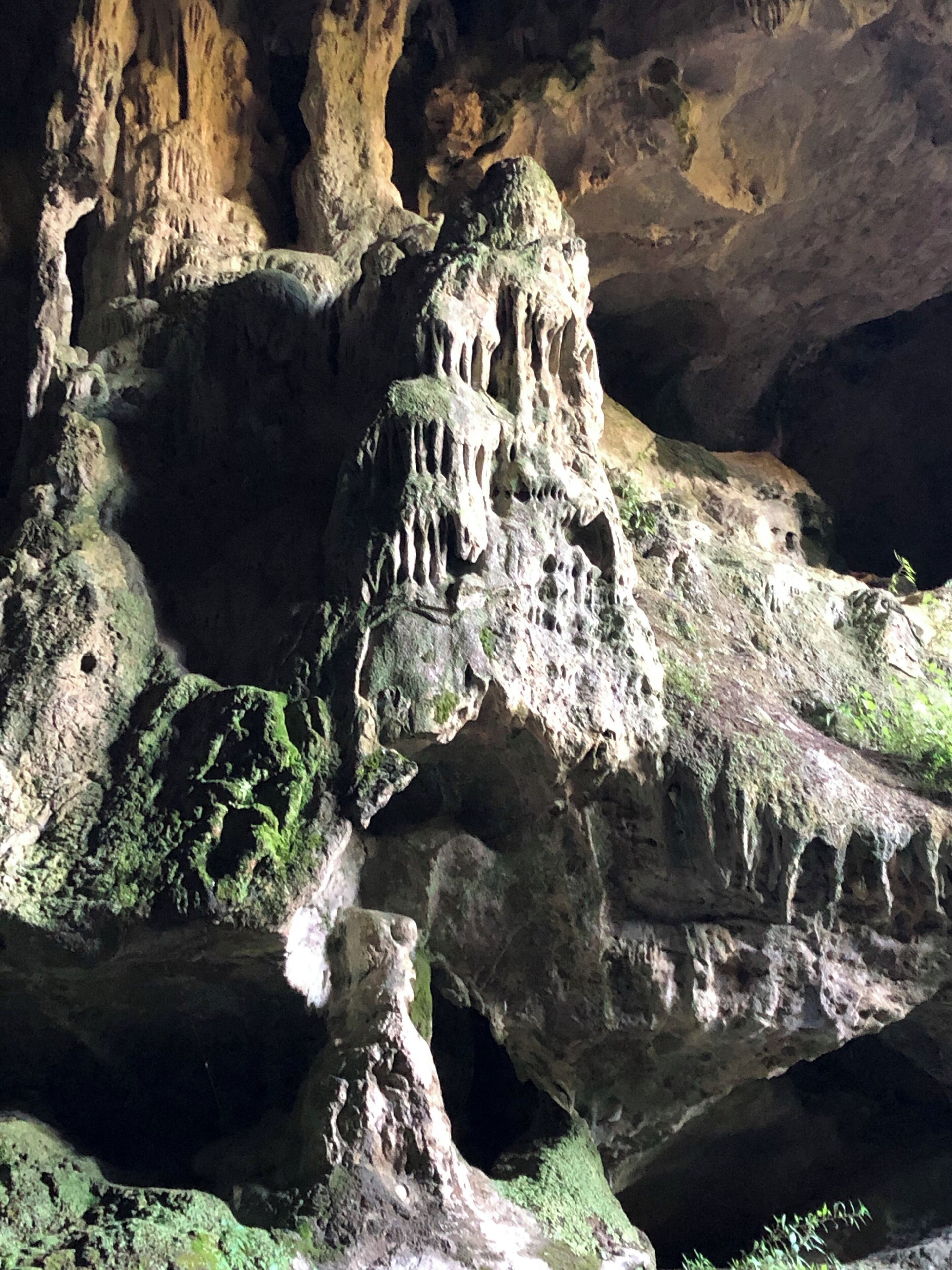 A cave with stalactites and stalagmites.