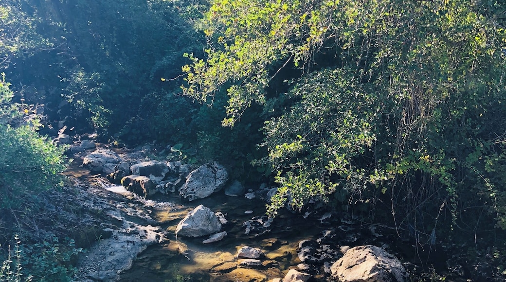 Trail to the Çayır cave