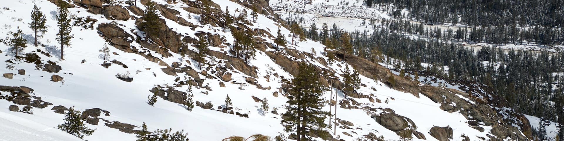 Tahoe National Forest which includes landscape views, snow and mountains