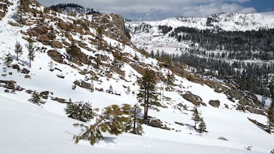Tahoe National Forest which includes landscape views, snow and mountains