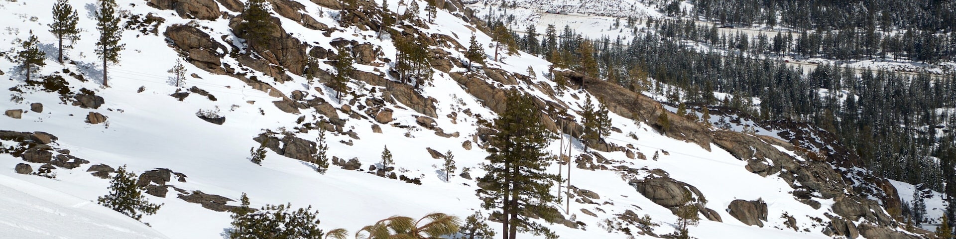 Bosque nacional Tahoe ofreciendo montañas, vistas panorámicas y nieve