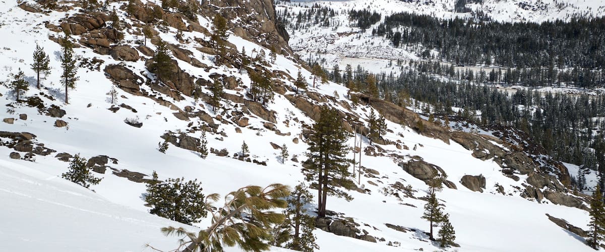 A snow-covered mountain with rocky terrain and scattered trees.