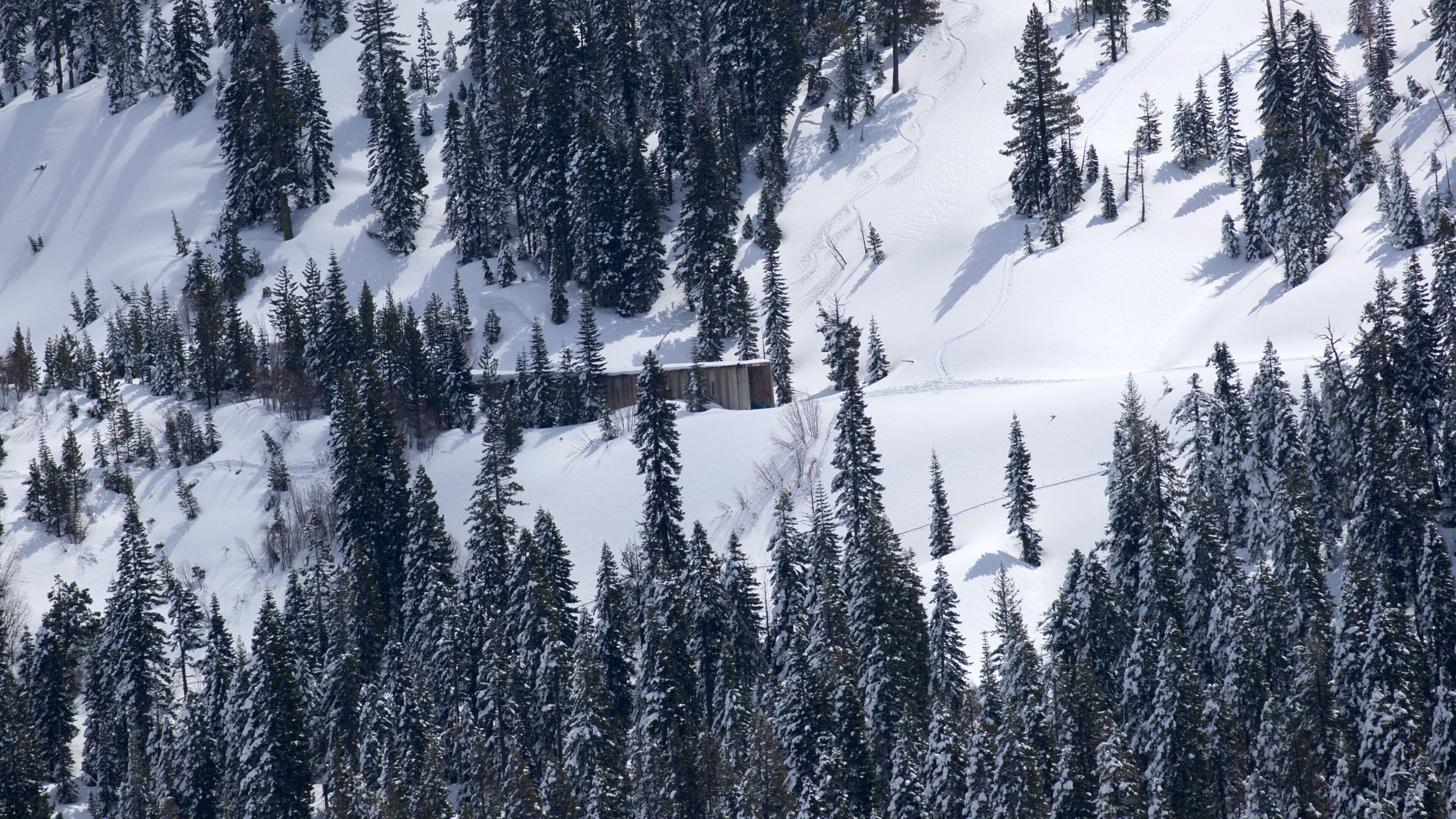 Tahoe National Forest which includes snow and mountains