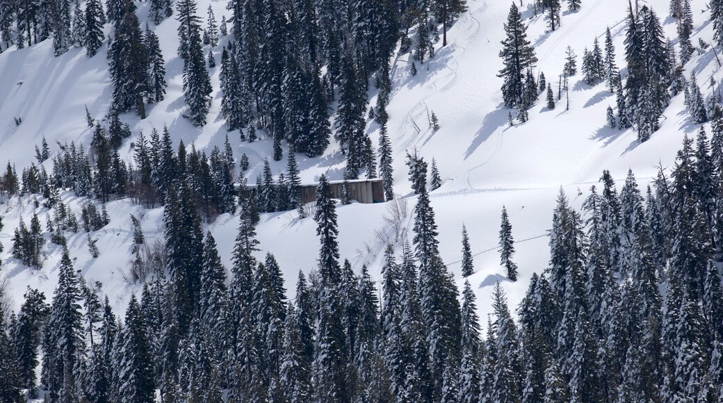 Tahoe National Forest which includes snow and mountains