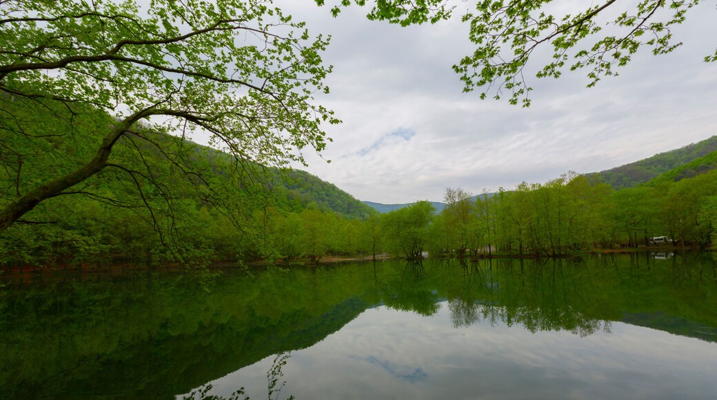 Turkey, Yalova, Çınarcık : Dipsiz Lake in Tesvikiye, surrounded by trees