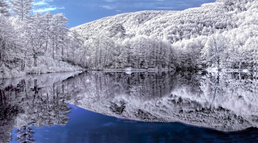Located approximately 10 kilometers from Teşvikiye town, Dipsiz Göl (Bottomless Lake) falls within the boundaries of Yalova Forestry Directorate, Çınarcık Forestry Management Office.