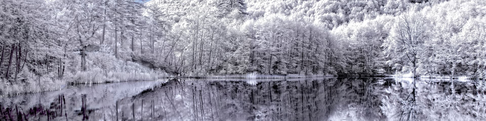 Located approximately 10 kilometers from Teşvikiye town, Dipsiz Göl (Bottomless Lake) falls within the boundaries of Yalova Forestry Directorate, Çınarcık Forestry Management Office.