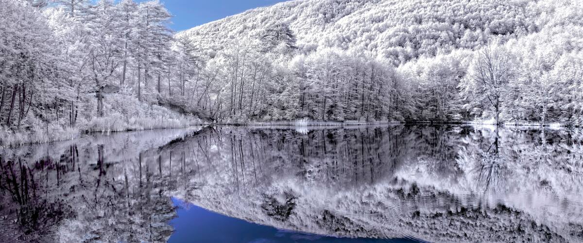 A serene lake surrounded by snow-covered trees and a hill.