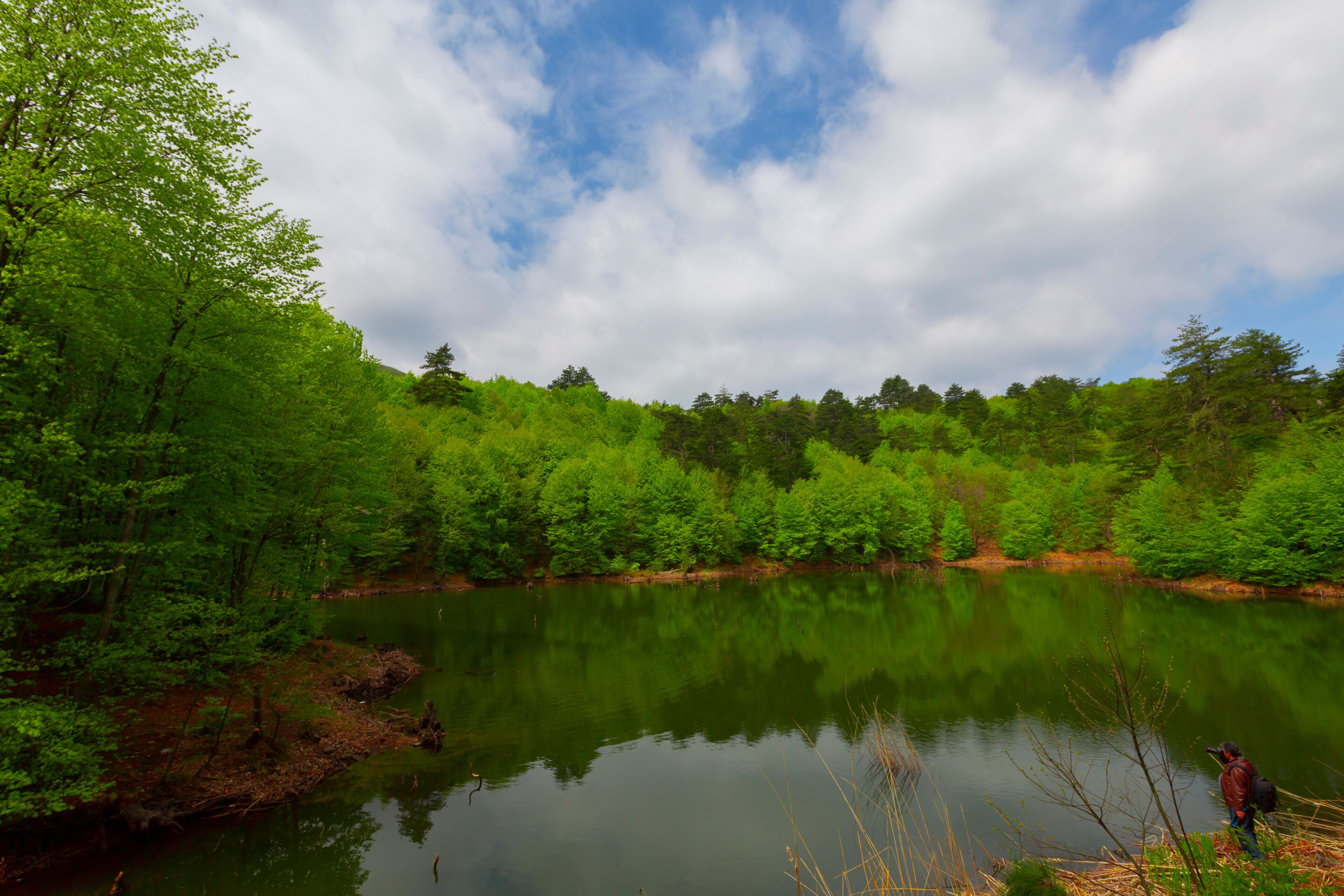 Turkey, Yalova, Çınarcık : Dipsiz Lake in Tesvikiye, surrounded by trees