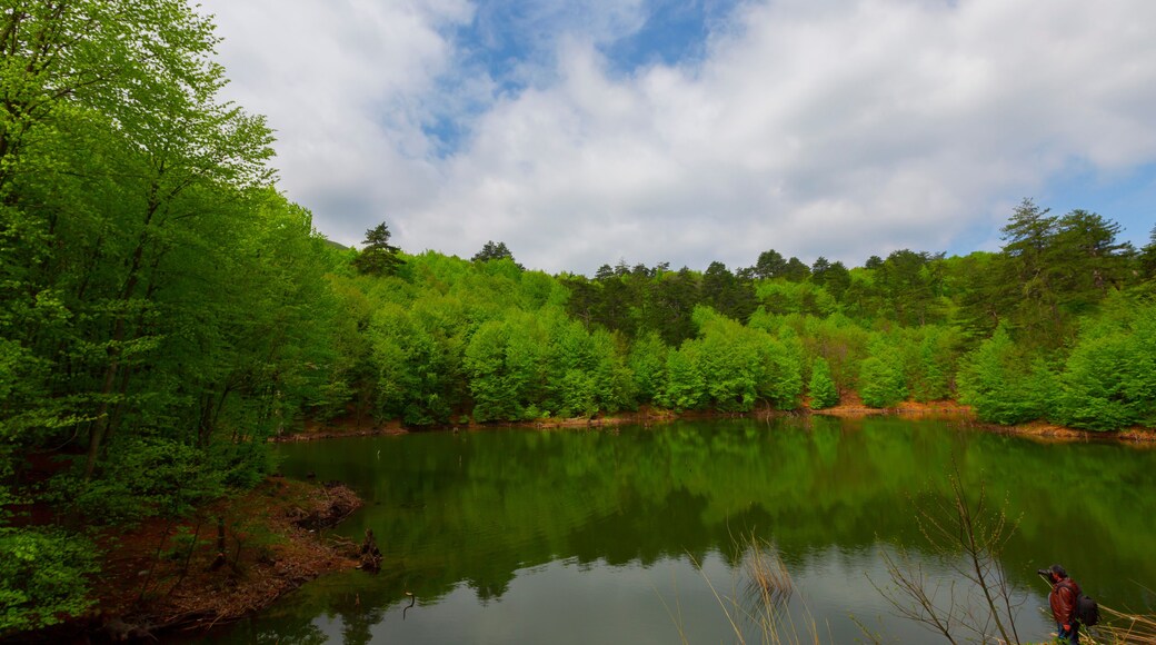 Turkey, Yalova, Çınarcık : Dipsiz Lake in Tesvikiye, surrounded by trees