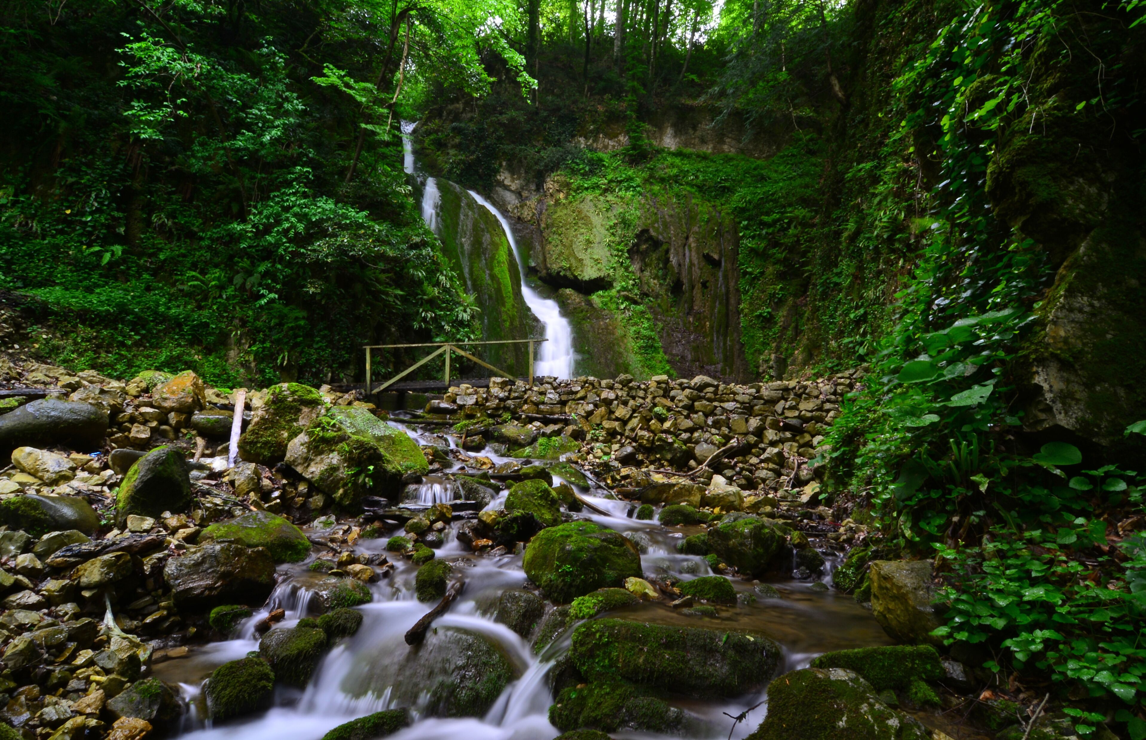 Une cascade d’eau se déversant sur des rochers couverts de mousse, entourée d’un feuillage verdoyant et luxuriant.