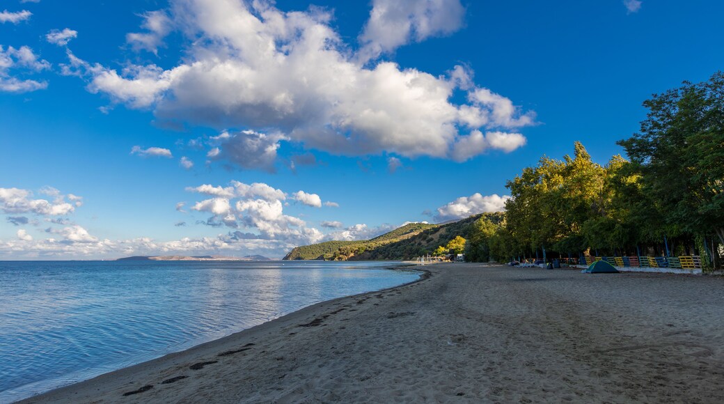 Sea photographs on the Balıkesir - Bandırma - Erdek coast.