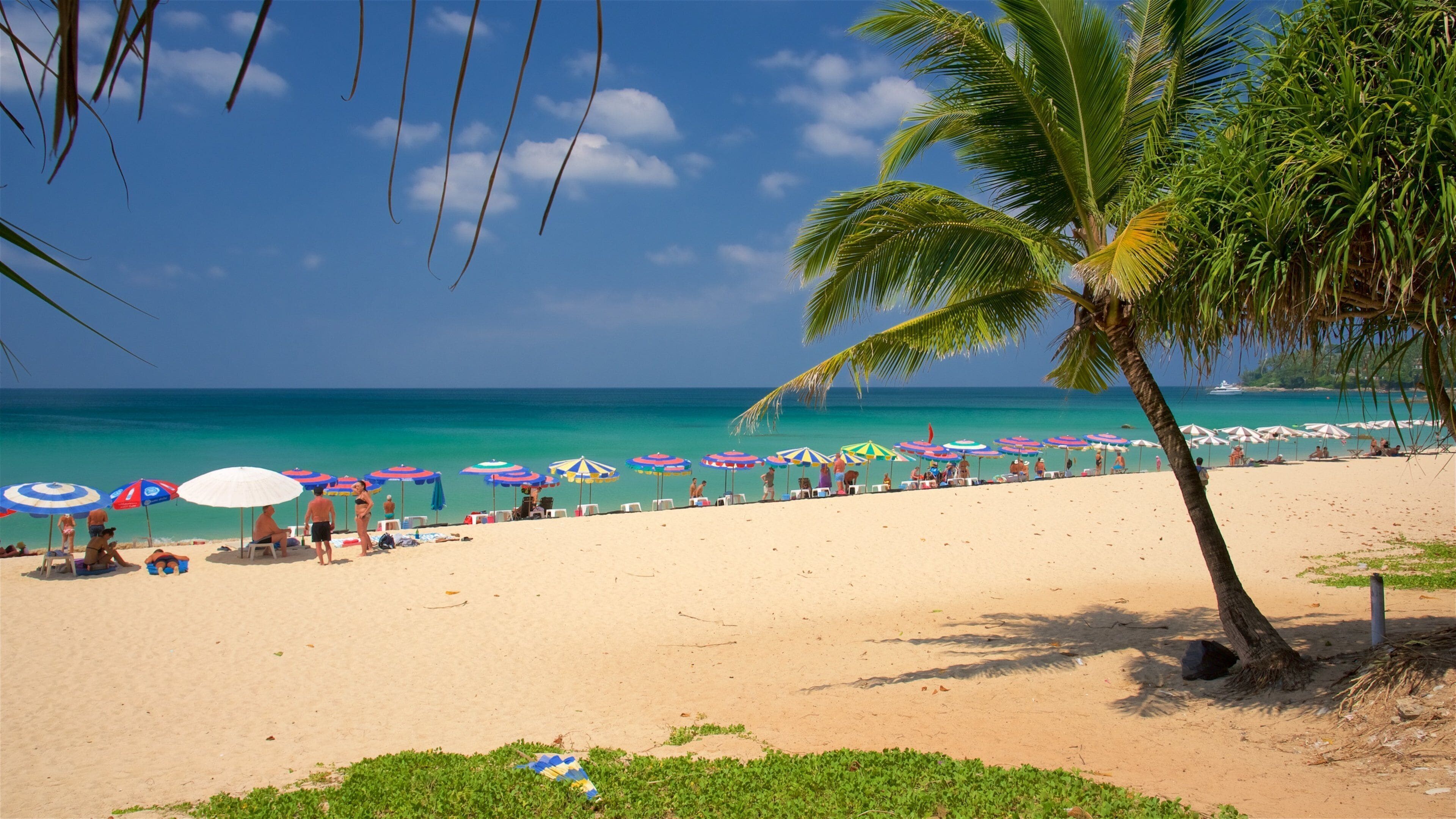 Surin showing tropical scenes, general coastal views and a beach