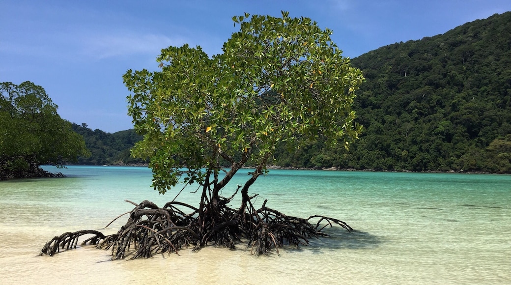 Beautiful quiet island off Khaolak, Thailand