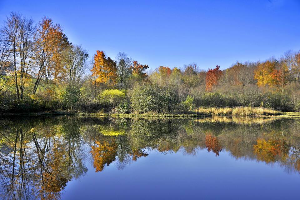 Un lac paisible où se reflètent les arbres aux couleurs automnales et un ciel bleu limpide.