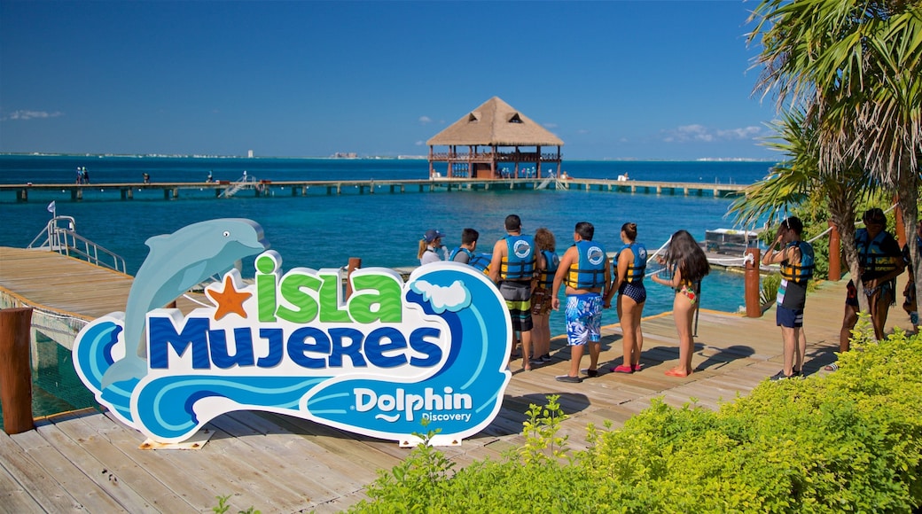 海豚發現館 呈现出 指示牌 和 綜覽海岸風景 以及 一小群人