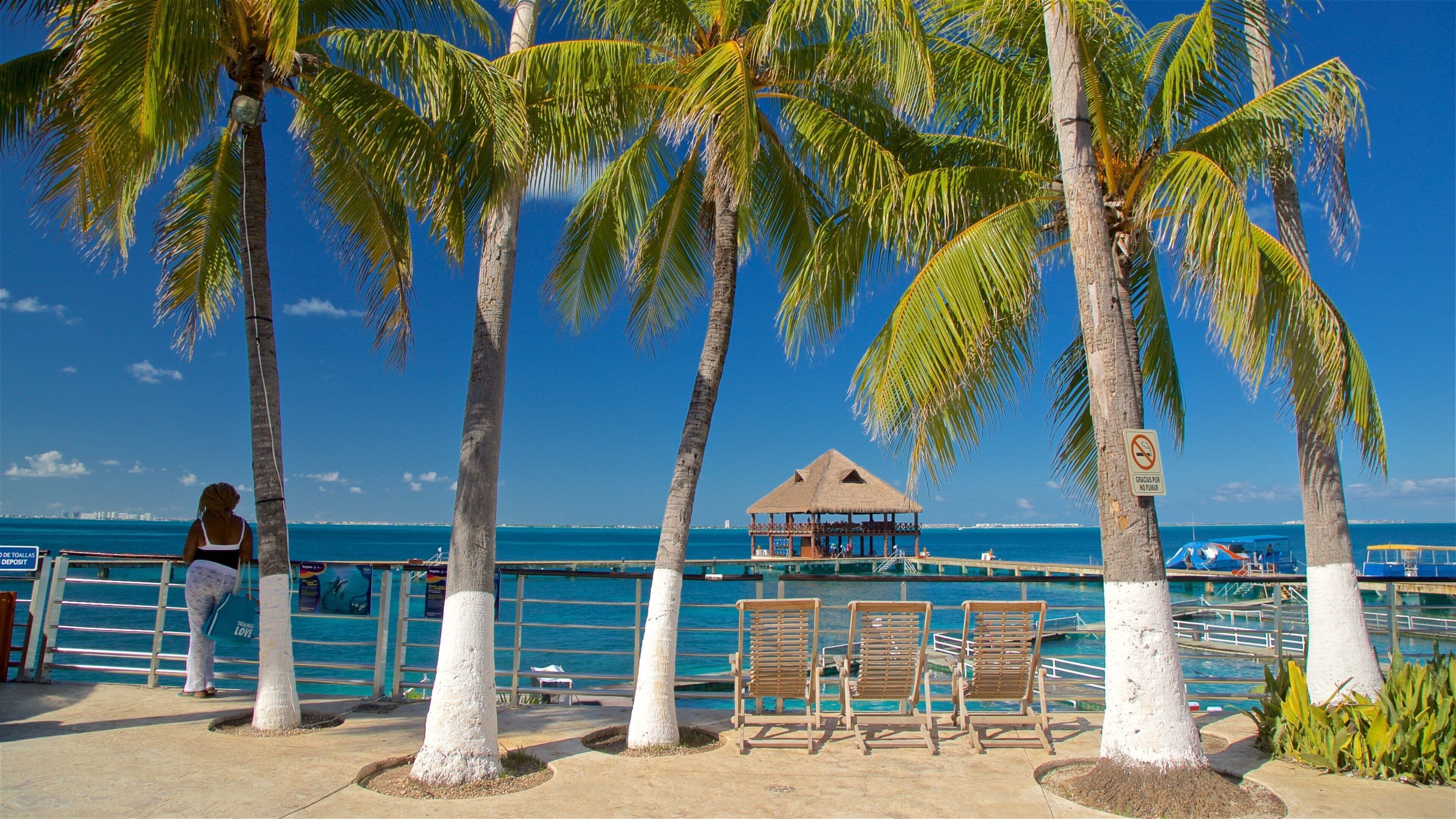 Dolphin Discovery featuring general coastal views and tropical scenes