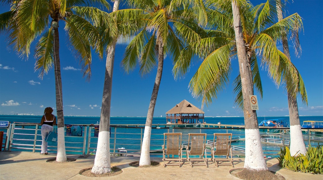 Dolphin Discovery featuring general coastal views and tropical scenes