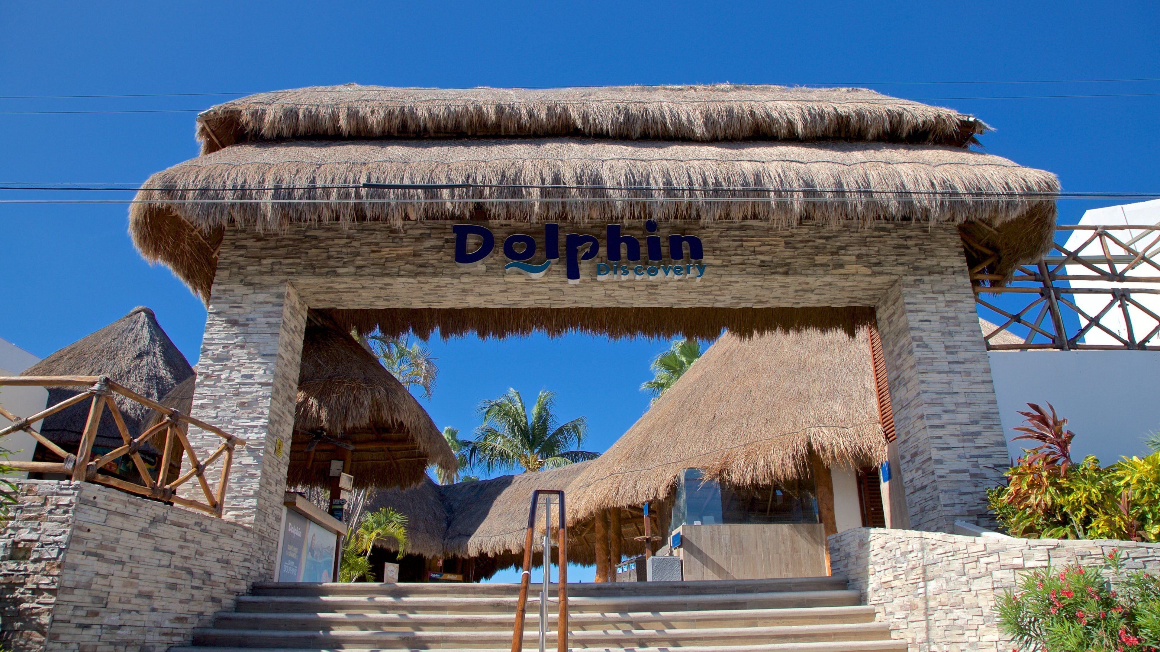 Dolphin Discovery mit einem tropische Szenerien und Beschilderung